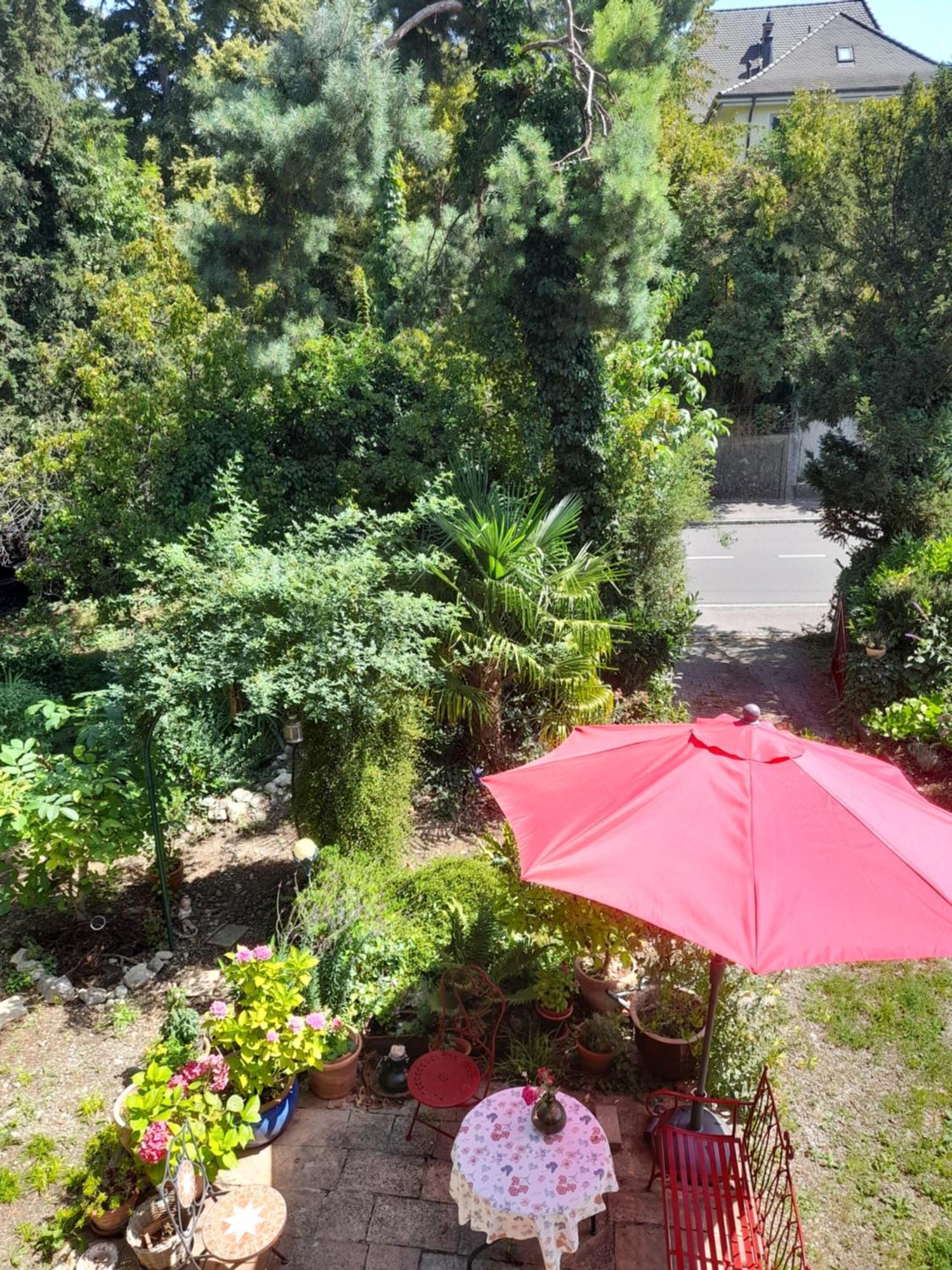 B&B Am Park Rheinfelden Ngoại thất bức ảnh