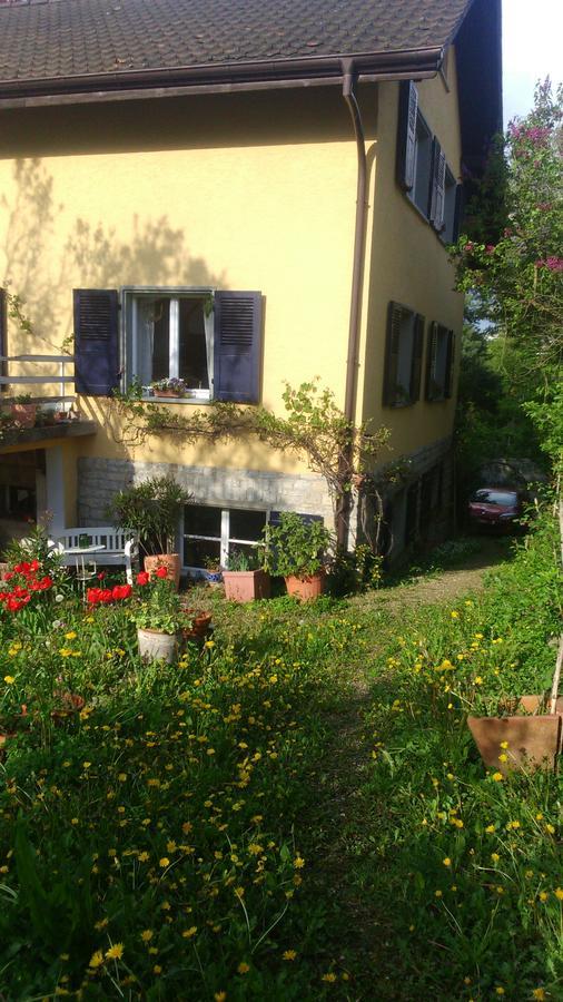 B&B Am Park Rheinfelden Ngoại thất bức ảnh