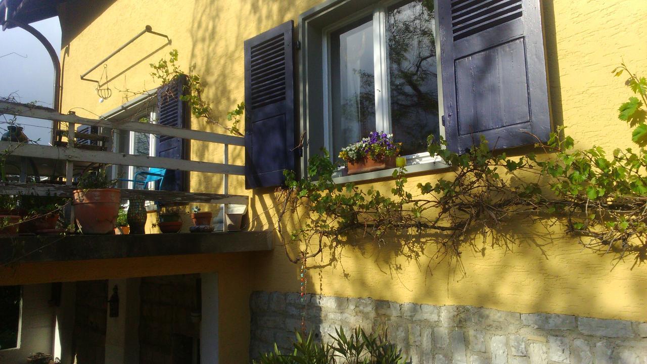 B&B Am Park Rheinfelden Ngoại thất bức ảnh