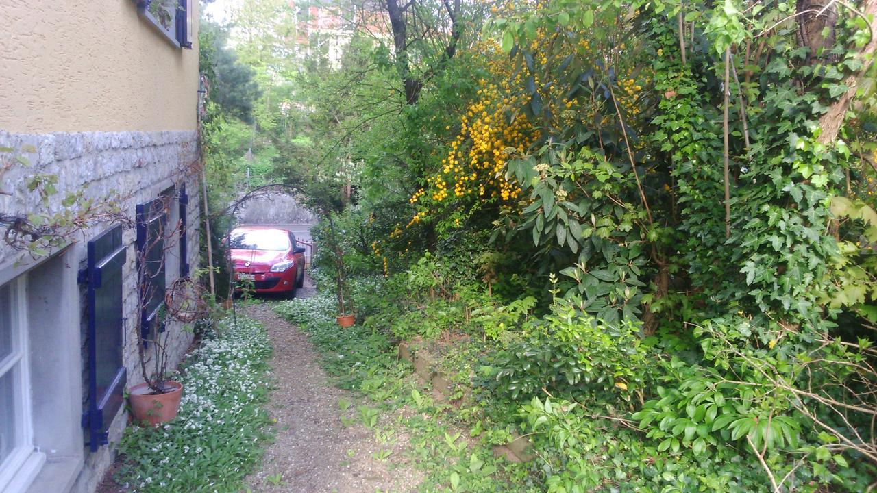 B&B Am Park Rheinfelden Ngoại thất bức ảnh