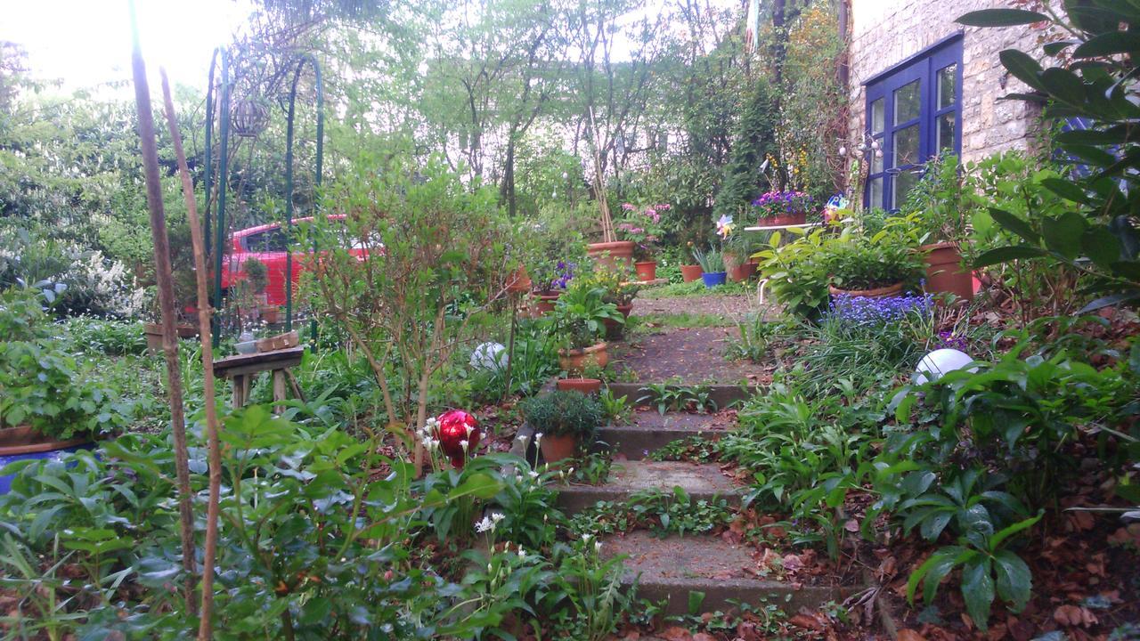 B&B Am Park Rheinfelden Ngoại thất bức ảnh