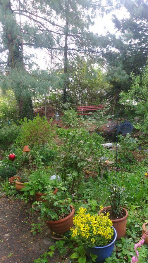 B&B Am Park Rheinfelden Ngoại thất bức ảnh